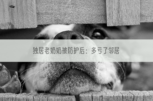 独居老奶奶被防护后：多亏了邻居家的金毛，我才沒有被饿死！