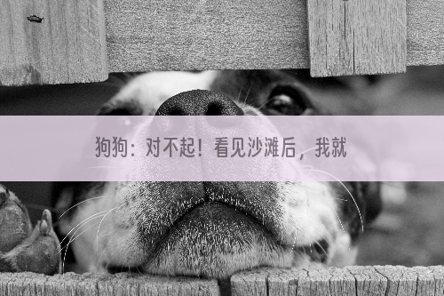 狗狗：对不起！看见沙滩后，我就控制不住我自己了！