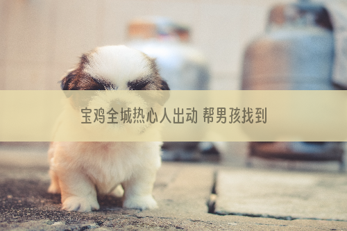 宝鸡全城热心人出动 帮男孩找到丢失狗狗
