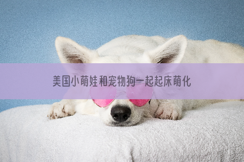 美国小萌娃和宠物狗一起起床萌化网友
