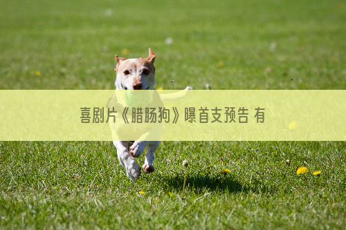 喜剧片《腊肠狗》曝首支预告 有点有趣有点残酷