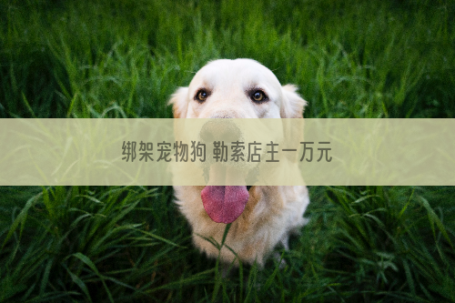 绑架宠物狗 勒索店主一万元