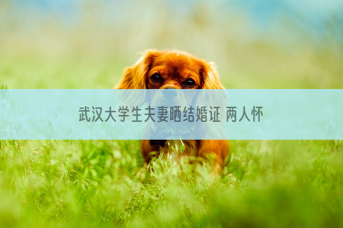 武汉大学生夫妻晒结婚证 两人怀抱宠物狗