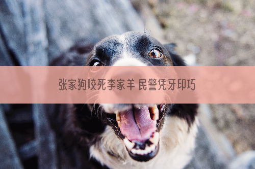 张家狗咬死李家羊 民警凭牙印巧断案