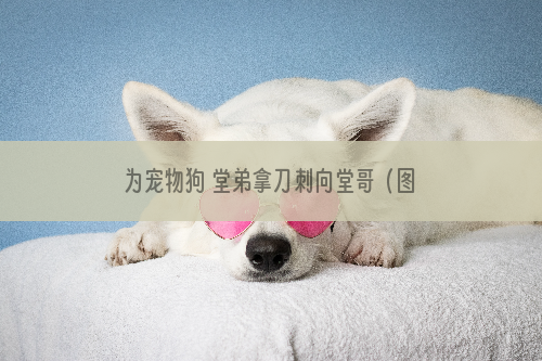 为宠物狗 堂弟拿刀刺向堂哥（图）