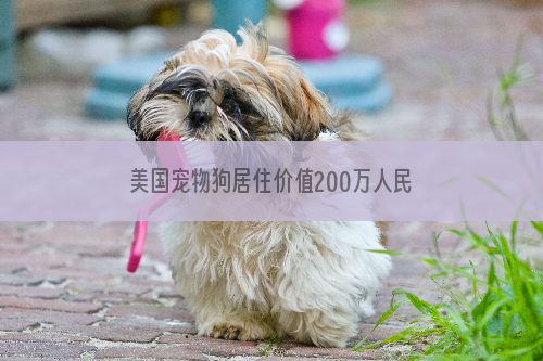 美国宠物狗居住价值200万人民币别墅（图）