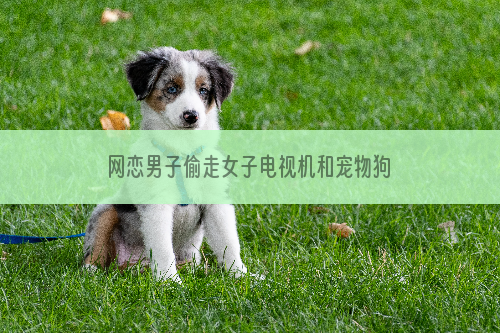 网恋男子偷走女子电视机和宠物狗（图）