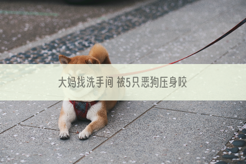 大妈找洗手间 被5只恶狗压身咬重伤