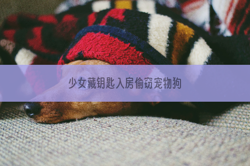 少女藏钥匙入房偷窃宠物狗