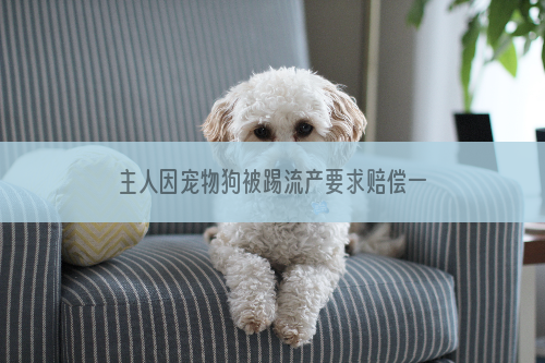 主人因宠物狗被踢流产要求赔偿一万元