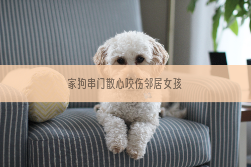 家狗串门散心咬伤邻居女孩