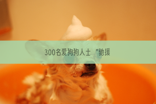 300名爱狗狗人士   