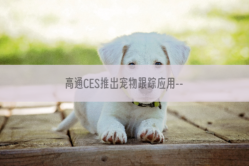 高通CES推出宠物跟踪应用--狗狗丢失不要急