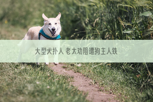 大型犬扑人 老太劝阻遭狗主人铁链殴打