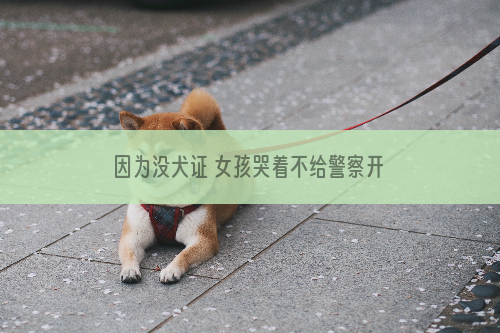 因为没犬证 女孩哭着不给警察开门