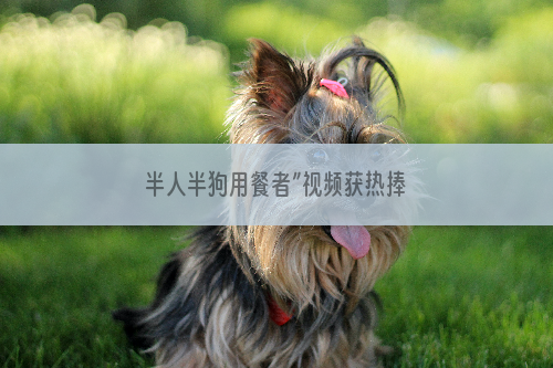 半人半狗用餐者”视频获热捧
