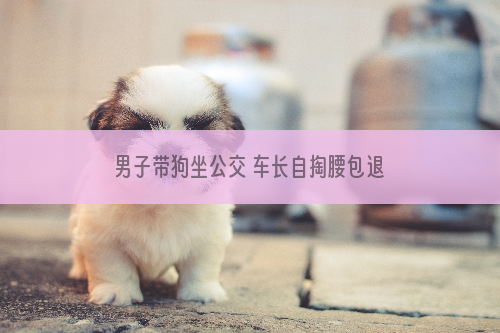 男子带狗坐公交 车长自掏腰包退钱请其下车