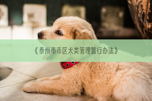 《泰州市市区犬类管理暂行办法》下个月实施