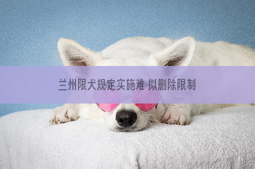 兰州限犬规定实施难 拟删除限制