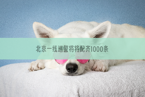 北京一线巡警将将配齐1000条警犬