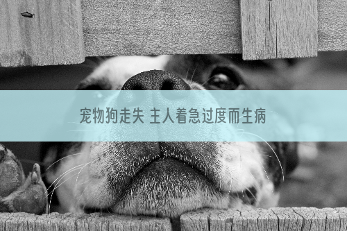 宠物狗走失 主人着急过度而生病
