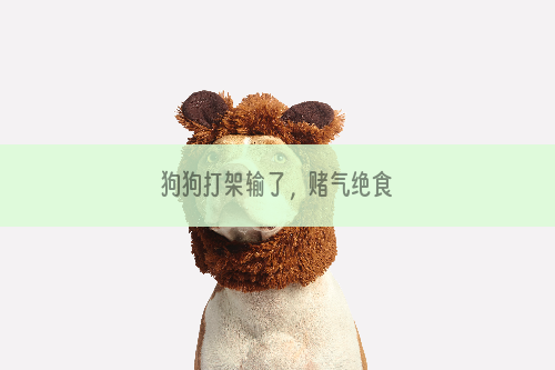 狗狗打架输了，赌气绝食