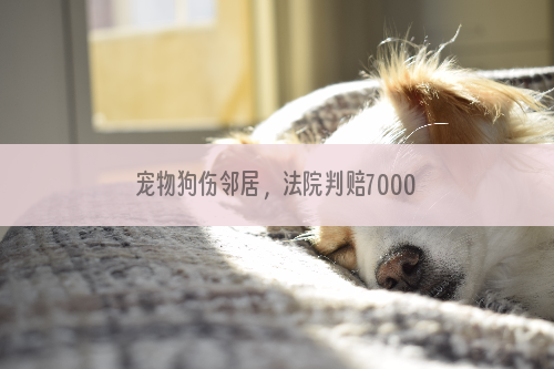 宠物狗伤邻居，法院判赔7000元
