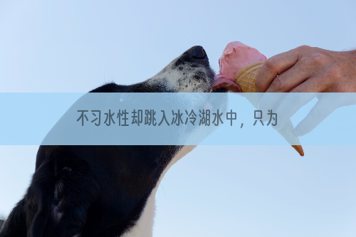 不习水性却跳入冰冷湖水中，只为救爱犬上岸