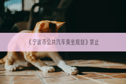 《宁波市公共汽车乘坐规划》禁止携带家禽、猫、犬、猴上公交车