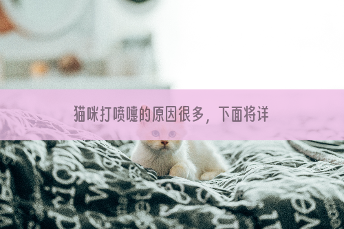 猫咪打喷嚏的原因很多，下面将详细解析猫咪打喷嚏的原因