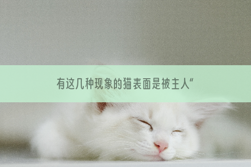 有这几种现象的猫表面是被主人“捧在手心”长大的