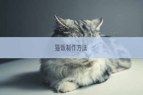 猫饭制作方法