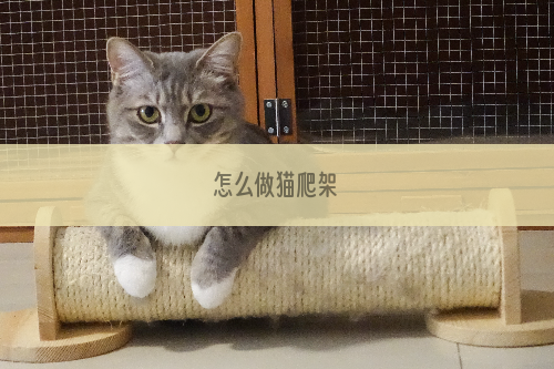 怎么做猫爬架