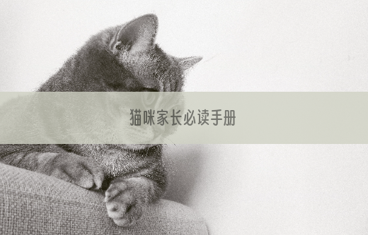猫咪家长必读手册
