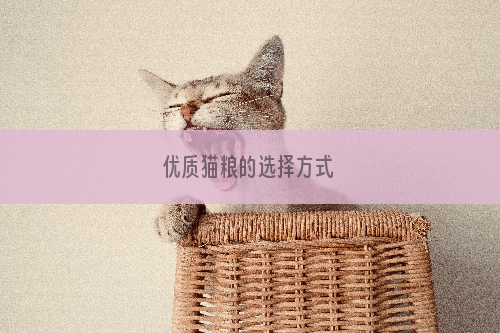 优质猫粮的选择方式