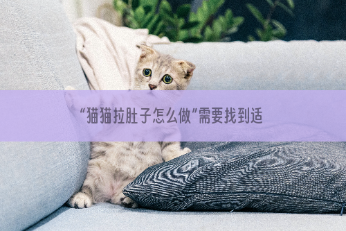 “猫猫拉肚子怎么做”需要找到适合疾病的原因药物