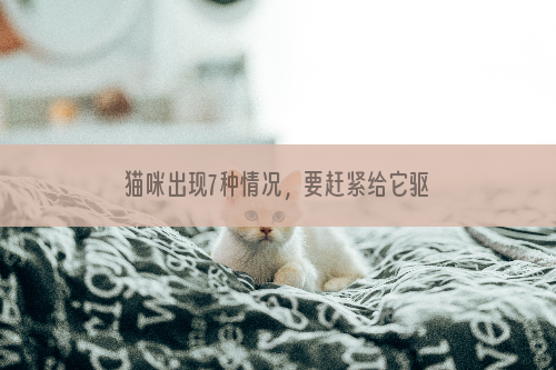 猫咪出现7种情况，要赶紧给它驱虫，刻不容缓！