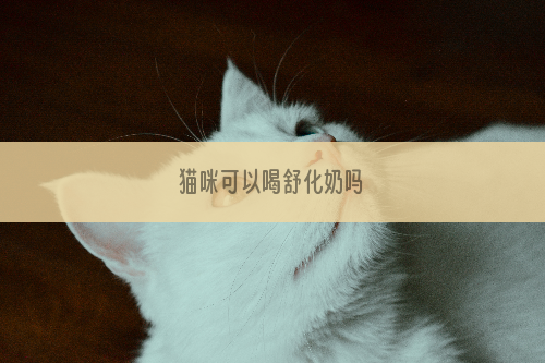 猫咪可以喝舒化奶吗